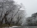 2019년 마지막날 한라산 눈꽃산행